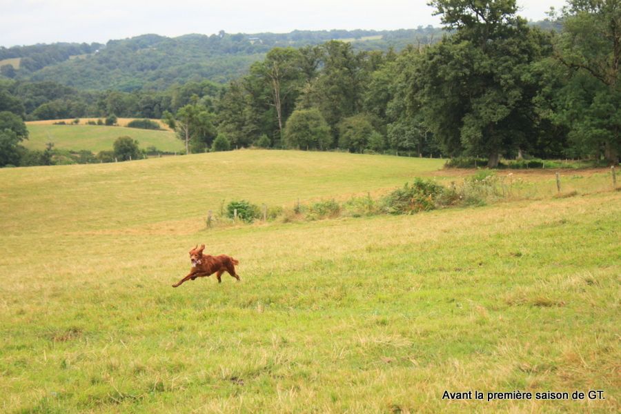 Up-lands Des Celtes D'Artrat