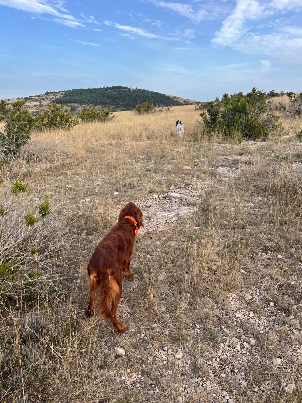 Entraînements GT 2025.