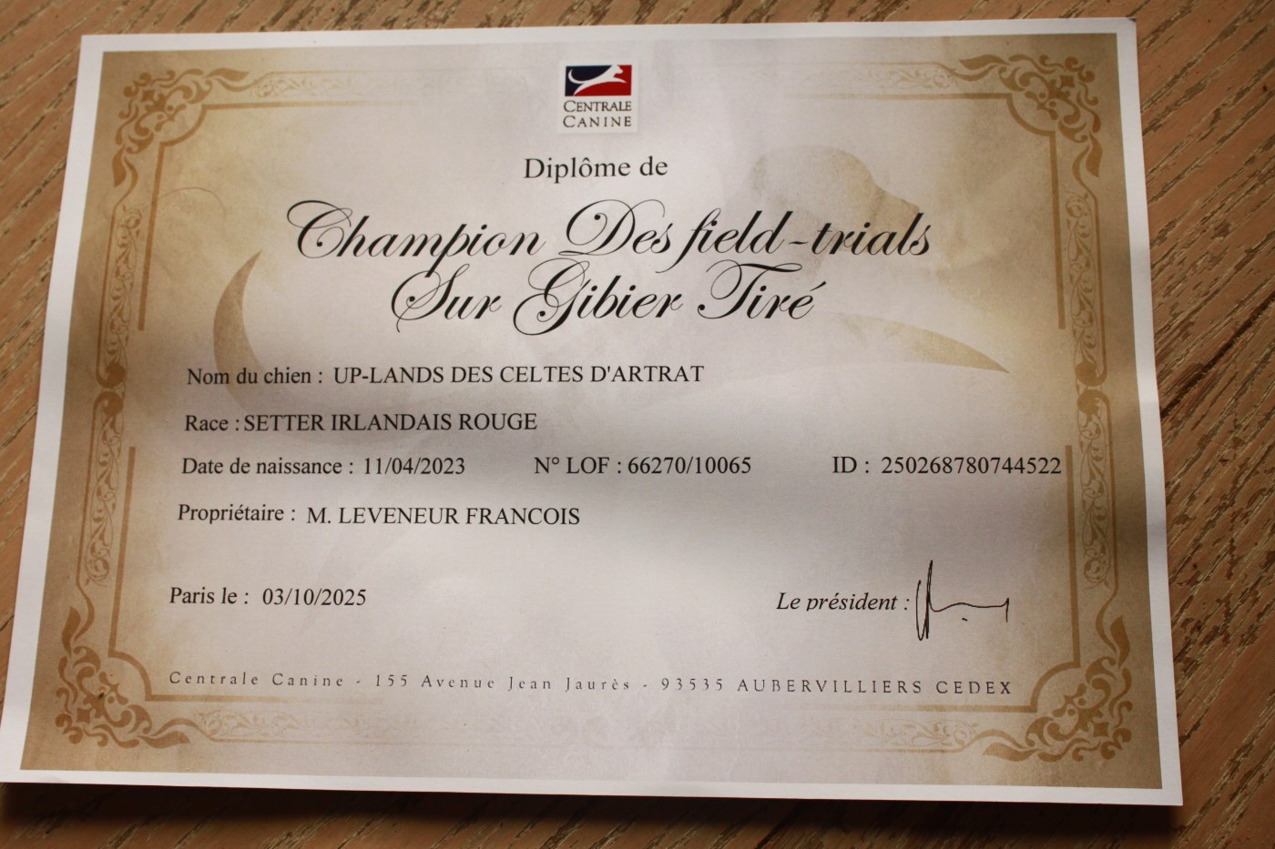 C'est officiel : Up-lands Championne