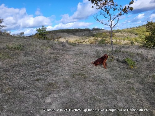 Sur le Causse du Lot.