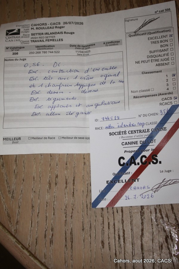 CACS, le 26/07 à Cahors.
