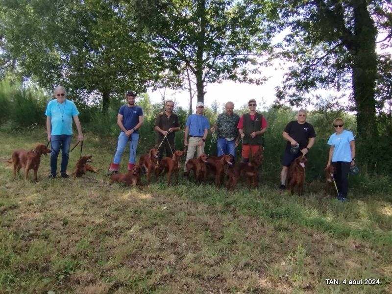 Des Celtes D'Artrat - 04 aout 2024... TAN Limousin.